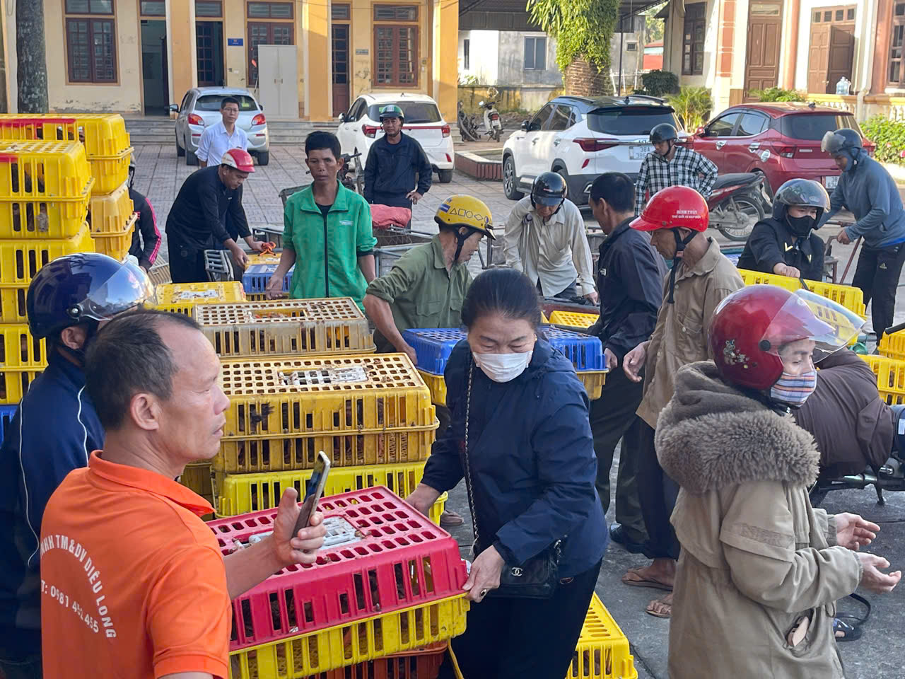 PHƯỜNG HÀ HUY TẬP TRAO HỖ TRỢ HƠN 3.200 CON GÀ GIỐNG TẠO SINH KẾ CHO NGƯỜI DÂN 