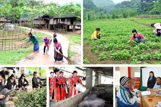 Hà Tĩnh: Hỗ trợ tối đa 110 triệu đồng cho hộ nghèo, hộ cận nghèo tham gia dự án sản xuất liên kết