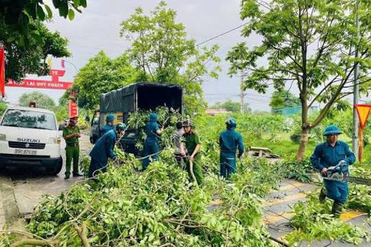 Khuyến cáo một số biện pháp phòng ngừa nguy hiểm từ cây xanh gãy, đổ