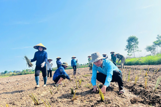 Nông dân phường Hà Huy Tập hưởng ứng phong trào sản xuất an toàn hữu cơ vì sức khỏe cộng đồng