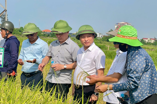Phường Hà Huy Tập hội thảo tham quan và đánh giá mô hình canh tác lúa giảm phát thải, sản xuất theo hướng hữu cơ