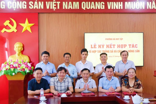  Ký kết biên bản hợp tác xây dựng mô hình liên kết sản xuất và tiêu thụ cây Sả theo mô hình “bốn nhà” trên địa bàn phường Hà Huy Tập