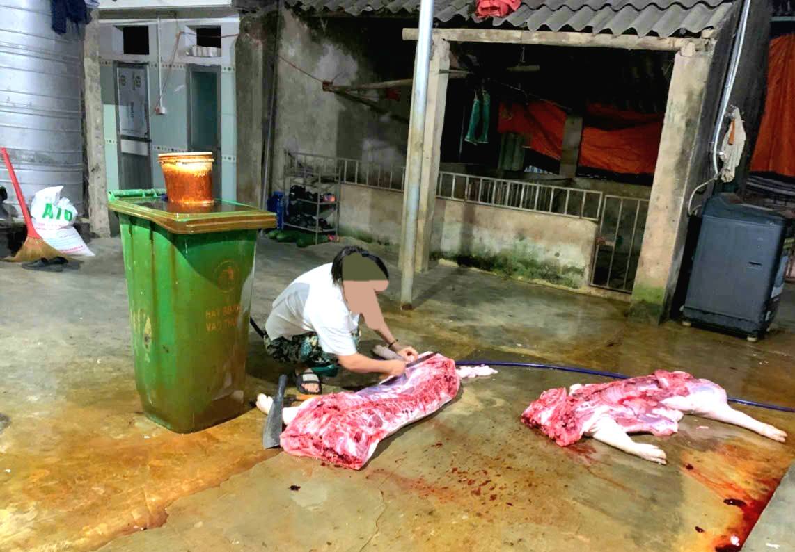 KIỂM TRA, PHÁT HIỆN 02 HỘ DÂN TỰ GIẾT MỔ GIA SÚC TẠI NHÀ KHÔNG QUA KIỂM DỊCH, TIỀM ẨN NGUY CƠ LÂY LAN DỊCH BỆNH 